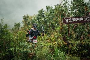 BIB: 
                            <button type="button" onclick="openModal(26335511)" class="btn btn-primary btn-sm float-right btn-popup" data-toggle="modal" data-target=".modal-high-quality">
                        <i class="fas fa-shopping-cart"></i> Add to Cart
                    </button>
                                            <button type="button" onclick="isThisMe(26335511, true)" class="btn btn-success btn-sm float-right btn-popup btn-isme hidden" data-toggle="tooltip" data-placement="bottom" title="นี่คือรูปของคุณใช่ไหม คลิกที่นี่เพื่อเอาเข้าอัลบั้ม">
                        <i class="fas fa-plus"></i> Add to album
                    </button>
                    <button type="button" onclick="isThisMe(26335511, false)" class="btn btn-warning btn-sm float-right btn-popup btn-isnotme hidden">
                        <i class="fas fa-ban"></i> Remove from album
                    </button>