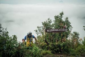 BIB: 
                            <button type="button" onclick="openModal(26328383)" class="btn btn-primary btn-sm float-right btn-popup" data-toggle="modal" data-target=".modal-high-quality">
                        <i class="fas fa-shopping-cart"></i> Add to Cart
                    </button>
                                            <button type="button" onclick="isThisMe(26328383, true)" class="btn btn-success btn-sm float-right btn-popup btn-isme hidden" data-toggle="tooltip" data-placement="bottom" title="นี่คือรูปของคุณใช่ไหม คลิกที่นี่เพื่อเอาเข้าอัลบั้ม">
                        <i class="fas fa-plus"></i> Add to album
                    </button>
                    <button type="button" onclick="isThisMe(26328383, false)" class="btn btn-warning btn-sm float-right btn-popup btn-isnotme hidden">
                        <i class="fas fa-ban"></i> Remove from album
                    </button>