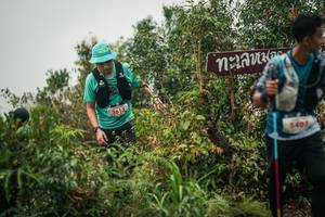 BIB: 
                            <button type="button" onclick="openModal(26334930)" class="btn btn-primary btn-sm float-right btn-popup" data-toggle="modal" data-target=".modal-high-quality">
                        <i class="fas fa-shopping-cart"></i> Add to Cart
                    </button>
                                            <button type="button" onclick="isThisMe(26334930, true)" class="btn btn-success btn-sm float-right btn-popup btn-isme hidden" data-toggle="tooltip" data-placement="bottom" title="นี่คือรูปของคุณใช่ไหม คลิกที่นี่เพื่อเอาเข้าอัลบั้ม">
                        <i class="fas fa-plus"></i> Add to album
                    </button>
                    <button type="button" onclick="isThisMe(26334930, false)" class="btn btn-warning btn-sm float-right btn-popup btn-isnotme hidden">
                        <i class="fas fa-ban"></i> Remove from album
                    </button>