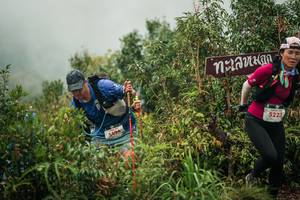 BIB: 
                            <button type="button" onclick="openModal(26335716)" class="btn btn-primary btn-sm float-right btn-popup" data-toggle="modal" data-target=".modal-high-quality">
                        <i class="fas fa-shopping-cart"></i> Add to Cart
                    </button>
                                            <button type="button" onclick="isThisMe(26335716, true)" class="btn btn-success btn-sm float-right btn-popup btn-isme hidden" data-toggle="tooltip" data-placement="bottom" title="นี่คือรูปของคุณใช่ไหม คลิกที่นี่เพื่อเอาเข้าอัลบั้ม">
                        <i class="fas fa-plus"></i> Add to album
                    </button>
                    <button type="button" onclick="isThisMe(26335716, false)" class="btn btn-warning btn-sm float-right btn-popup btn-isnotme hidden">
                        <i class="fas fa-ban"></i> Remove from album
                    </button>