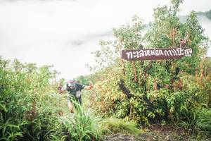 BIB: 
                            <button type="button" onclick="openModal(26322204)" class="btn btn-primary btn-sm float-right btn-popup" data-toggle="modal" data-target=".modal-high-quality">
                        <i class="fas fa-shopping-cart"></i> Add to Cart
                    </button>
                                            <button type="button" onclick="isThisMe(26322204, true)" class="btn btn-success btn-sm float-right btn-popup btn-isme hidden" data-toggle="tooltip" data-placement="bottom" title="นี่คือรูปของคุณใช่ไหม คลิกที่นี่เพื่อเอาเข้าอัลบั้ม">
                        <i class="fas fa-plus"></i> Add to album
                    </button>
                    <button type="button" onclick="isThisMe(26322204, false)" class="btn btn-warning btn-sm float-right btn-popup btn-isnotme hidden">
                        <i class="fas fa-ban"></i> Remove from album
                    </button>