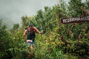 BIB: 
                            <button type="button" onclick="openModal(26335915)" class="btn btn-primary btn-sm float-right btn-popup" data-toggle="modal" data-target=".modal-high-quality">
                        <i class="fas fa-shopping-cart"></i> Add to Cart
                    </button>
                                            <button type="button" onclick="isThisMe(26335915, true)" class="btn btn-success btn-sm float-right btn-popup btn-isme hidden" data-toggle="tooltip" data-placement="bottom" title="นี่คือรูปของคุณใช่ไหม คลิกที่นี่เพื่อเอาเข้าอัลบั้ม">
                        <i class="fas fa-plus"></i> Add to album
                    </button>
                    <button type="button" onclick="isThisMe(26335915, false)" class="btn btn-warning btn-sm float-right btn-popup btn-isnotme hidden">
                        <i class="fas fa-ban"></i> Remove from album
                    </button>