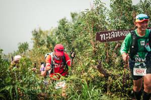 BIB: 
                            <button type="button" onclick="openModal(26335348)" class="btn btn-primary btn-sm float-right btn-popup" data-toggle="modal" data-target=".modal-high-quality">
                        <i class="fas fa-shopping-cart"></i> Add to Cart
                    </button>
                                            <button type="button" onclick="isThisMe(26335348, true)" class="btn btn-success btn-sm float-right btn-popup btn-isme hidden" data-toggle="tooltip" data-placement="bottom" title="นี่คือรูปของคุณใช่ไหม คลิกที่นี่เพื่อเอาเข้าอัลบั้ม">
                        <i class="fas fa-plus"></i> Add to album
                    </button>
                    <button type="button" onclick="isThisMe(26335348, false)" class="btn btn-warning btn-sm float-right btn-popup btn-isnotme hidden">
                        <i class="fas fa-ban"></i> Remove from album
                    </button>