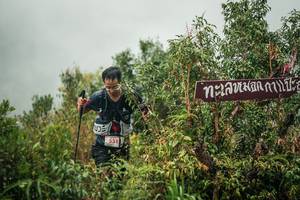 BIB: 
                            <button type="button" onclick="openModal(26335500)" class="btn btn-primary btn-sm float-right btn-popup" data-toggle="modal" data-target=".modal-high-quality">
                        <i class="fas fa-shopping-cart"></i> Add to Cart
                    </button>
                                            <button type="button" onclick="isThisMe(26335500, true)" class="btn btn-success btn-sm float-right btn-popup btn-isme hidden" data-toggle="tooltip" data-placement="bottom" title="นี่คือรูปของคุณใช่ไหม คลิกที่นี่เพื่อเอาเข้าอัลบั้ม">
                        <i class="fas fa-plus"></i> Add to album
                    </button>
                    <button type="button" onclick="isThisMe(26335500, false)" class="btn btn-warning btn-sm float-right btn-popup btn-isnotme hidden">
                        <i class="fas fa-ban"></i> Remove from album
                    </button>