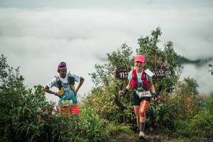 BIB: 
                            <button type="button" onclick="openModal(26329078)" class="btn btn-primary btn-sm float-right btn-popup" data-toggle="modal" data-target=".modal-high-quality">
                        <i class="fas fa-shopping-cart"></i> Add to Cart
                    </button>
                                            <button type="button" onclick="isThisMe(26329078, true)" class="btn btn-success btn-sm float-right btn-popup btn-isme hidden" data-toggle="tooltip" data-placement="bottom" title="นี่คือรูปของคุณใช่ไหม คลิกที่นี่เพื่อเอาเข้าอัลบั้ม">
                        <i class="fas fa-plus"></i> Add to album
                    </button>
                    <button type="button" onclick="isThisMe(26329078, false)" class="btn btn-warning btn-sm float-right btn-popup btn-isnotme hidden">
                        <i class="fas fa-ban"></i> Remove from album
                    </button>