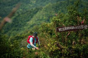 BIB: 
                            <button type="button" onclick="openModal(26309516)" class="btn btn-primary btn-sm float-right btn-popup" data-toggle="modal" data-target=".modal-high-quality">
                        <i class="fas fa-shopping-cart"></i> Add to Cart
                    </button>
                                            <button type="button" onclick="isThisMe(26309516, true)" class="btn btn-success btn-sm float-right btn-popup btn-isme hidden" data-toggle="tooltip" data-placement="bottom" title="นี่คือรูปของคุณใช่ไหม คลิกที่นี่เพื่อเอาเข้าอัลบั้ม">
                        <i class="fas fa-plus"></i> Add to album
                    </button>
                    <button type="button" onclick="isThisMe(26309516, false)" class="btn btn-warning btn-sm float-right btn-popup btn-isnotme hidden">
                        <i class="fas fa-ban"></i> Remove from album
                    </button>