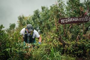 BIB: 
                            <button type="button" onclick="openModal(26335902)" class="btn btn-primary btn-sm float-right btn-popup" data-toggle="modal" data-target=".modal-high-quality">
                        <i class="fas fa-shopping-cart"></i> Add to Cart
                    </button>
                                            <button type="button" onclick="isThisMe(26335902, true)" class="btn btn-success btn-sm float-right btn-popup btn-isme hidden" data-toggle="tooltip" data-placement="bottom" title="นี่คือรูปของคุณใช่ไหม คลิกที่นี่เพื่อเอาเข้าอัลบั้ม">
                        <i class="fas fa-plus"></i> Add to album
                    </button>
                    <button type="button" onclick="isThisMe(26335902, false)" class="btn btn-warning btn-sm float-right btn-popup btn-isnotme hidden">
                        <i class="fas fa-ban"></i> Remove from album
                    </button>