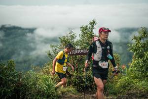 BIB: 
                            <button type="button" onclick="openModal(26331295)" class="btn btn-primary btn-sm float-right btn-popup" data-toggle="modal" data-target=".modal-high-quality">
                        <i class="fas fa-shopping-cart"></i> Add to Cart
                    </button>
                                            <button type="button" onclick="isThisMe(26331295, true)" class="btn btn-success btn-sm float-right btn-popup btn-isme hidden" data-toggle="tooltip" data-placement="bottom" title="นี่คือรูปของคุณใช่ไหม คลิกที่นี่เพื่อเอาเข้าอัลบั้ม">
                        <i class="fas fa-plus"></i> Add to album
                    </button>
                    <button type="button" onclick="isThisMe(26331295, false)" class="btn btn-warning btn-sm float-right btn-popup btn-isnotme hidden">
                        <i class="fas fa-ban"></i> Remove from album
                    </button>