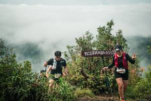 BIB: 
                            <button type="button" onclick="openModal(26332296)" class="btn btn-primary btn-sm float-right btn-popup" data-toggle="modal" data-target=".modal-high-quality">
                        <i class="fas fa-shopping-cart"></i> Add to Cart
                    </button>
                                            <button type="button" onclick="isThisMe(26332296, true)" class="btn btn-success btn-sm float-right btn-popup btn-isme hidden" data-toggle="tooltip" data-placement="bottom" title="นี่คือรูปของคุณใช่ไหม คลิกที่นี่เพื่อเอาเข้าอัลบั้ม">
                        <i class="fas fa-plus"></i> Add to album
                    </button>
                    <button type="button" onclick="isThisMe(26332296, false)" class="btn btn-warning btn-sm float-right btn-popup btn-isnotme hidden">
                        <i class="fas fa-ban"></i> Remove from album
                    </button>