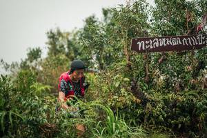 BIB: 
                            <button type="button" onclick="openModal(26334860)" class="btn btn-primary btn-sm float-right btn-popup" data-toggle="modal" data-target=".modal-high-quality">
                        <i class="fas fa-shopping-cart"></i> Add to Cart
                    </button>
                                            <button type="button" onclick="isThisMe(26334860, true)" class="btn btn-success btn-sm float-right btn-popup btn-isme hidden" data-toggle="tooltip" data-placement="bottom" title="นี่คือรูปของคุณใช่ไหม คลิกที่นี่เพื่อเอาเข้าอัลบั้ม">
                        <i class="fas fa-plus"></i> Add to album
                    </button>
                    <button type="button" onclick="isThisMe(26334860, false)" class="btn btn-warning btn-sm float-right btn-popup btn-isnotme hidden">
                        <i class="fas fa-ban"></i> Remove from album
                    </button>