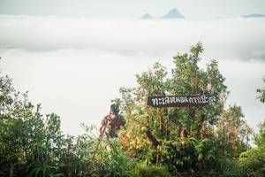 BIB: 
                            <button type="button" onclick="openModal(26323514)" class="btn btn-primary btn-sm float-right btn-popup" data-toggle="modal" data-target=".modal-high-quality">
                        <i class="fas fa-shopping-cart"></i> Add to Cart
                    </button>
                                            <button type="button" onclick="isThisMe(26323514, true)" class="btn btn-success btn-sm float-right btn-popup btn-isme hidden" data-toggle="tooltip" data-placement="bottom" title="นี่คือรูปของคุณใช่ไหม คลิกที่นี่เพื่อเอาเข้าอัลบั้ม">
                        <i class="fas fa-plus"></i> Add to album
                    </button>
                    <button type="button" onclick="isThisMe(26323514, false)" class="btn btn-warning btn-sm float-right btn-popup btn-isnotme hidden">
                        <i class="fas fa-ban"></i> Remove from album
                    </button>