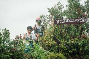 BIB: 
                            <button type="button" onclick="openModal(26324965)" class="btn btn-primary btn-sm float-right btn-popup" data-toggle="modal" data-target=".modal-high-quality">
                        <i class="fas fa-shopping-cart"></i> Add to Cart
                    </button>
                                            <button type="button" onclick="isThisMe(26324965, true)" class="btn btn-success btn-sm float-right btn-popup btn-isme hidden" data-toggle="tooltip" data-placement="bottom" title="นี่คือรูปของคุณใช่ไหม คลิกที่นี่เพื่อเอาเข้าอัลบั้ม">
                        <i class="fas fa-plus"></i> Add to album
                    </button>
                    <button type="button" onclick="isThisMe(26324965, false)" class="btn btn-warning btn-sm float-right btn-popup btn-isnotme hidden">
                        <i class="fas fa-ban"></i> Remove from album
                    </button>