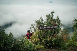 BIB: 
                            <button type="button" onclick="openModal(26327598)" class="btn btn-primary btn-sm float-right btn-popup" data-toggle="modal" data-target=".modal-high-quality">
                        <i class="fas fa-shopping-cart"></i> Add to Cart
                    </button>
                                            <button type="button" onclick="isThisMe(26327598, true)" class="btn btn-success btn-sm float-right btn-popup btn-isme hidden" data-toggle="tooltip" data-placement="bottom" title="นี่คือรูปของคุณใช่ไหม คลิกที่นี่เพื่อเอาเข้าอัลบั้ม">
                        <i class="fas fa-plus"></i> Add to album
                    </button>
                    <button type="button" onclick="isThisMe(26327598, false)" class="btn btn-warning btn-sm float-right btn-popup btn-isnotme hidden">
                        <i class="fas fa-ban"></i> Remove from album
                    </button>