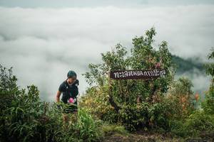 BIB: 
                            <button type="button" onclick="openModal(26329643)" class="btn btn-primary btn-sm float-right btn-popup" data-toggle="modal" data-target=".modal-high-quality">
                        <i class="fas fa-shopping-cart"></i> Add to Cart
                    </button>
                                            <button type="button" onclick="isThisMe(26329643, true)" class="btn btn-success btn-sm float-right btn-popup btn-isme hidden" data-toggle="tooltip" data-placement="bottom" title="นี่คือรูปของคุณใช่ไหม คลิกที่นี่เพื่อเอาเข้าอัลบั้ม">
                        <i class="fas fa-plus"></i> Add to album
                    </button>
                    <button type="button" onclick="isThisMe(26329643, false)" class="btn btn-warning btn-sm float-right btn-popup btn-isnotme hidden">
                        <i class="fas fa-ban"></i> Remove from album
                    </button>