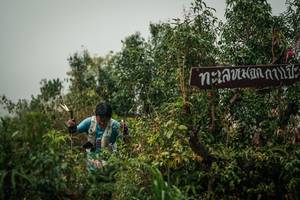 BIB: 
                            <button type="button" onclick="openModal(26334782)" class="btn btn-primary btn-sm float-right btn-popup" data-toggle="modal" data-target=".modal-high-quality">
                        <i class="fas fa-shopping-cart"></i> Add to Cart
                    </button>
                                            <button type="button" onclick="isThisMe(26334782, true)" class="btn btn-success btn-sm float-right btn-popup btn-isme hidden" data-toggle="tooltip" data-placement="bottom" title="นี่คือรูปของคุณใช่ไหม คลิกที่นี่เพื่อเอาเข้าอัลบั้ม">
                        <i class="fas fa-plus"></i> Add to album
                    </button>
                    <button type="button" onclick="isThisMe(26334782, false)" class="btn btn-warning btn-sm float-right btn-popup btn-isnotme hidden">
                        <i class="fas fa-ban"></i> Remove from album
                    </button>