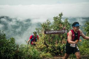 BIB: 
                            <button type="button" onclick="openModal(26331766)" class="btn btn-primary btn-sm float-right btn-popup" data-toggle="modal" data-target=".modal-high-quality">
                        <i class="fas fa-shopping-cart"></i> Add to Cart
                    </button>
                                            <button type="button" onclick="isThisMe(26331766, true)" class="btn btn-success btn-sm float-right btn-popup btn-isme hidden" data-toggle="tooltip" data-placement="bottom" title="นี่คือรูปของคุณใช่ไหม คลิกที่นี่เพื่อเอาเข้าอัลบั้ม">
                        <i class="fas fa-plus"></i> Add to album
                    </button>
                    <button type="button" onclick="isThisMe(26331766, false)" class="btn btn-warning btn-sm float-right btn-popup btn-isnotme hidden">
                        <i class="fas fa-ban"></i> Remove from album
                    </button>