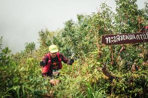 BIB: 
                            <button type="button" onclick="openModal(26335249)" class="btn btn-primary btn-sm float-right btn-popup" data-toggle="modal" data-target=".modal-high-quality">
                        <i class="fas fa-shopping-cart"></i> Add to Cart
                    </button>
                                            <button type="button" onclick="isThisMe(26335249, true)" class="btn btn-success btn-sm float-right btn-popup btn-isme hidden" data-toggle="tooltip" data-placement="bottom" title="นี่คือรูปของคุณใช่ไหม คลิกที่นี่เพื่อเอาเข้าอัลบั้ม">
                        <i class="fas fa-plus"></i> Add to album
                    </button>
                    <button type="button" onclick="isThisMe(26335249, false)" class="btn btn-warning btn-sm float-right btn-popup btn-isnotme hidden">
                        <i class="fas fa-ban"></i> Remove from album
                    </button>