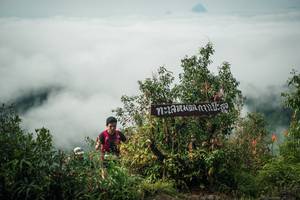 BIB: 
                            <button type="button" onclick="openModal(26327596)" class="btn btn-primary btn-sm float-right btn-popup" data-toggle="modal" data-target=".modal-high-quality">
                        <i class="fas fa-shopping-cart"></i> Add to Cart
                    </button>
                                            <button type="button" onclick="isThisMe(26327596, true)" class="btn btn-success btn-sm float-right btn-popup btn-isme hidden" data-toggle="tooltip" data-placement="bottom" title="นี่คือรูปของคุณใช่ไหม คลิกที่นี่เพื่อเอาเข้าอัลบั้ม">
                        <i class="fas fa-plus"></i> Add to album
                    </button>
                    <button type="button" onclick="isThisMe(26327596, false)" class="btn btn-warning btn-sm float-right btn-popup btn-isnotme hidden">
                        <i class="fas fa-ban"></i> Remove from album
                    </button>