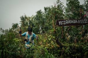 BIB: 
                            <button type="button" onclick="openModal(26334783)" class="btn btn-primary btn-sm float-right btn-popup" data-toggle="modal" data-target=".modal-high-quality">
                        <i class="fas fa-shopping-cart"></i> Add to Cart
                    </button>
                                            <button type="button" onclick="isThisMe(26334783, true)" class="btn btn-success btn-sm float-right btn-popup btn-isme hidden" data-toggle="tooltip" data-placement="bottom" title="นี่คือรูปของคุณใช่ไหม คลิกที่นี่เพื่อเอาเข้าอัลบั้ม">
                        <i class="fas fa-plus"></i> Add to album
                    </button>
                    <button type="button" onclick="isThisMe(26334783, false)" class="btn btn-warning btn-sm float-right btn-popup btn-isnotme hidden">
                        <i class="fas fa-ban"></i> Remove from album
                    </button>