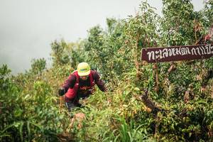 BIB: 
                            <button type="button" onclick="openModal(26335250)" class="btn btn-primary btn-sm float-right btn-popup" data-toggle="modal" data-target=".modal-high-quality">
                        <i class="fas fa-shopping-cart"></i> Add to Cart
                    </button>
                                            <button type="button" onclick="isThisMe(26335250, true)" class="btn btn-success btn-sm float-right btn-popup btn-isme hidden" data-toggle="tooltip" data-placement="bottom" title="นี่คือรูปของคุณใช่ไหม คลิกที่นี่เพื่อเอาเข้าอัลบั้ม">
                        <i class="fas fa-plus"></i> Add to album
                    </button>
                    <button type="button" onclick="isThisMe(26335250, false)" class="btn btn-warning btn-sm float-right btn-popup btn-isnotme hidden">
                        <i class="fas fa-ban"></i> Remove from album
                    </button>