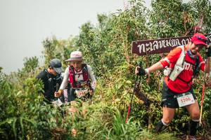 BIB: 
                            <button type="button" onclick="openModal(26335359)" class="btn btn-primary btn-sm float-right btn-popup" data-toggle="modal" data-target=".modal-high-quality">
                        <i class="fas fa-shopping-cart"></i> Add to Cart
                    </button>
                                            <button type="button" onclick="isThisMe(26335359, true)" class="btn btn-success btn-sm float-right btn-popup btn-isme hidden" data-toggle="tooltip" data-placement="bottom" title="นี่คือรูปของคุณใช่ไหม คลิกที่นี่เพื่อเอาเข้าอัลบั้ม">
                        <i class="fas fa-plus"></i> Add to album
                    </button>
                    <button type="button" onclick="isThisMe(26335359, false)" class="btn btn-warning btn-sm float-right btn-popup btn-isnotme hidden">
                        <i class="fas fa-ban"></i> Remove from album
                    </button>