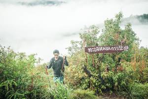 BIB: 
                            <button type="button" onclick="openModal(26322413)" class="btn btn-primary btn-sm float-right btn-popup" data-toggle="modal" data-target=".modal-high-quality">
                        <i class="fas fa-shopping-cart"></i> Add to Cart
                    </button>
                                            <button type="button" onclick="isThisMe(26322413, true)" class="btn btn-success btn-sm float-right btn-popup btn-isme hidden" data-toggle="tooltip" data-placement="bottom" title="นี่คือรูปของคุณใช่ไหม คลิกที่นี่เพื่อเอาเข้าอัลบั้ม">
                        <i class="fas fa-plus"></i> Add to album
                    </button>
                    <button type="button" onclick="isThisMe(26322413, false)" class="btn btn-warning btn-sm float-right btn-popup btn-isnotme hidden">
                        <i class="fas fa-ban"></i> Remove from album
                    </button>