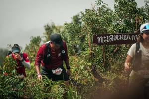 BIB: 
                            <button type="button" onclick="openModal(26334639)" class="btn btn-primary btn-sm float-right btn-popup" data-toggle="modal" data-target=".modal-high-quality">
                        <i class="fas fa-shopping-cart"></i> Add to Cart
                    </button>
                                            <button type="button" onclick="isThisMe(26334639, true)" class="btn btn-success btn-sm float-right btn-popup btn-isme hidden" data-toggle="tooltip" data-placement="bottom" title="นี่คือรูปของคุณใช่ไหม คลิกที่นี่เพื่อเอาเข้าอัลบั้ม">
                        <i class="fas fa-plus"></i> Add to album
                    </button>
                    <button type="button" onclick="isThisMe(26334639, false)" class="btn btn-warning btn-sm float-right btn-popup btn-isnotme hidden">
                        <i class="fas fa-ban"></i> Remove from album
                    </button>