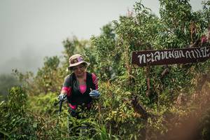 BIB: 
                            <button type="button" onclick="openModal(26334452)" class="btn btn-primary btn-sm float-right btn-popup" data-toggle="modal" data-target=".modal-high-quality">
                        <i class="fas fa-shopping-cart"></i> Add to Cart
                    </button>
                                            <button type="button" onclick="isThisMe(26334452, true)" class="btn btn-success btn-sm float-right btn-popup btn-isme hidden" data-toggle="tooltip" data-placement="bottom" title="นี่คือรูปของคุณใช่ไหม คลิกที่นี่เพื่อเอาเข้าอัลบั้ม">
                        <i class="fas fa-plus"></i> Add to album
                    </button>
                    <button type="button" onclick="isThisMe(26334452, false)" class="btn btn-warning btn-sm float-right btn-popup btn-isnotme hidden">
                        <i class="fas fa-ban"></i> Remove from album
                    </button>