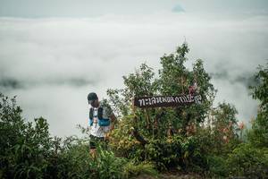 BIB: 
                            <button type="button" onclick="openModal(26328102)" class="btn btn-primary btn-sm float-right btn-popup" data-toggle="modal" data-target=".modal-high-quality">
                        <i class="fas fa-shopping-cart"></i> Add to Cart
                    </button>
                                            <button type="button" onclick="isThisMe(26328102, true)" class="btn btn-success btn-sm float-right btn-popup btn-isme hidden" data-toggle="tooltip" data-placement="bottom" title="นี่คือรูปของคุณใช่ไหม คลิกที่นี่เพื่อเอาเข้าอัลบั้ม">
                        <i class="fas fa-plus"></i> Add to album
                    </button>
                    <button type="button" onclick="isThisMe(26328102, false)" class="btn btn-warning btn-sm float-right btn-popup btn-isnotme hidden">
                        <i class="fas fa-ban"></i> Remove from album
                    </button>