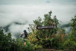 BIB: 
                            <button type="button" onclick="openModal(26327746)" class="btn btn-primary btn-sm float-right btn-popup" data-toggle="modal" data-target=".modal-high-quality">
                        <i class="fas fa-shopping-cart"></i> Add to Cart
                    </button>
                                            <button type="button" onclick="isThisMe(26327746, true)" class="btn btn-success btn-sm float-right btn-popup btn-isme hidden" data-toggle="tooltip" data-placement="bottom" title="นี่คือรูปของคุณใช่ไหม คลิกที่นี่เพื่อเอาเข้าอัลบั้ม">
                        <i class="fas fa-plus"></i> Add to album
                    </button>
                    <button type="button" onclick="isThisMe(26327746, false)" class="btn btn-warning btn-sm float-right btn-popup btn-isnotme hidden">
                        <i class="fas fa-ban"></i> Remove from album
                    </button>