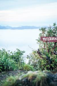 BIB: 
                            <button type="button" onclick="openModal(26319169)" class="btn btn-primary btn-sm float-right btn-popup" data-toggle="modal" data-target=".modal-high-quality">
                        <i class="fas fa-shopping-cart"></i> Add to Cart
                    </button>
                                            <button type="button" onclick="isThisMe(26319169, true)" class="btn btn-success btn-sm float-right btn-popup btn-isme hidden" data-toggle="tooltip" data-placement="bottom" title="นี่คือรูปของคุณใช่ไหม คลิกที่นี่เพื่อเอาเข้าอัลบั้ม">
                        <i class="fas fa-plus"></i> Add to album
                    </button>
                    <button type="button" onclick="isThisMe(26319169, false)" class="btn btn-warning btn-sm float-right btn-popup btn-isnotme hidden">
                        <i class="fas fa-ban"></i> Remove from album
                    </button>