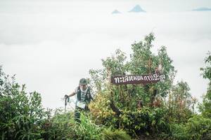 BIB: 
                            <button type="button" onclick="openModal(26324875)" class="btn btn-primary btn-sm float-right btn-popup" data-toggle="modal" data-target=".modal-high-quality">
                        <i class="fas fa-shopping-cart"></i> Add to Cart
                    </button>
                                            <button type="button" onclick="isThisMe(26324875, true)" class="btn btn-success btn-sm float-right btn-popup btn-isme hidden" data-toggle="tooltip" data-placement="bottom" title="นี่คือรูปของคุณใช่ไหม คลิกที่นี่เพื่อเอาเข้าอัลบั้ม">
                        <i class="fas fa-plus"></i> Add to album
                    </button>
                    <button type="button" onclick="isThisMe(26324875, false)" class="btn btn-warning btn-sm float-right btn-popup btn-isnotme hidden">
                        <i class="fas fa-ban"></i> Remove from album
                    </button>