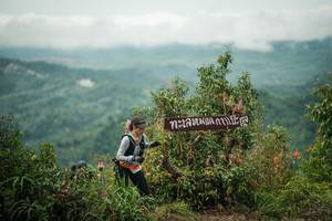 BIB: 
                            <button type="button" onclick="openModal(26336397)" class="btn btn-primary btn-sm float-right btn-popup" data-toggle="modal" data-target=".modal-high-quality">
                        <i class="fas fa-shopping-cart"></i> Add to Cart
                    </button>
                                            <button type="button" onclick="isThisMe(26336397, true)" class="btn btn-success btn-sm float-right btn-popup btn-isme hidden" data-toggle="tooltip" data-placement="bottom" title="นี่คือรูปของคุณใช่ไหม คลิกที่นี่เพื่อเอาเข้าอัลบั้ม">
                        <i class="fas fa-plus"></i> Add to album
                    </button>
                    <button type="button" onclick="isThisMe(26336397, false)" class="btn btn-warning btn-sm float-right btn-popup btn-isnotme hidden">
                        <i class="fas fa-ban"></i> Remove from album
                    </button>