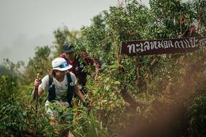 BIB: 
                            <button type="button" onclick="openModal(26334636)" class="btn btn-primary btn-sm float-right btn-popup" data-toggle="modal" data-target=".modal-high-quality">
                        <i class="fas fa-shopping-cart"></i> Add to Cart
                    </button>
                                            <button type="button" onclick="isThisMe(26334636, true)" class="btn btn-success btn-sm float-right btn-popup btn-isme hidden" data-toggle="tooltip" data-placement="bottom" title="นี่คือรูปของคุณใช่ไหม คลิกที่นี่เพื่อเอาเข้าอัลบั้ม">
                        <i class="fas fa-plus"></i> Add to album
                    </button>
                    <button type="button" onclick="isThisMe(26334636, false)" class="btn btn-warning btn-sm float-right btn-popup btn-isnotme hidden">
                        <i class="fas fa-ban"></i> Remove from album
                    </button>