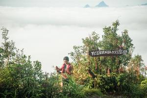 BIB: 
                            <button type="button" onclick="openModal(26323616)" class="btn btn-primary btn-sm float-right btn-popup" data-toggle="modal" data-target=".modal-high-quality">
                        <i class="fas fa-shopping-cart"></i> Add to Cart
                    </button>
                                            <button type="button" onclick="isThisMe(26323616, true)" class="btn btn-success btn-sm float-right btn-popup btn-isme hidden" data-toggle="tooltip" data-placement="bottom" title="นี่คือรูปของคุณใช่ไหม คลิกที่นี่เพื่อเอาเข้าอัลบั้ม">
                        <i class="fas fa-plus"></i> Add to album
                    </button>
                    <button type="button" onclick="isThisMe(26323616, false)" class="btn btn-warning btn-sm float-right btn-popup btn-isnotme hidden">
                        <i class="fas fa-ban"></i> Remove from album
                    </button>