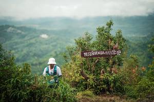 BIB: 
                            <button type="button" onclick="openModal(26307065)" class="btn btn-primary btn-sm float-right btn-popup" data-toggle="modal" data-target=".modal-high-quality">
                        <i class="fas fa-shopping-cart"></i> Add to Cart
                    </button>
                                            <button type="button" onclick="isThisMe(26307065, true)" class="btn btn-success btn-sm float-right btn-popup btn-isme hidden" data-toggle="tooltip" data-placement="bottom" title="นี่คือรูปของคุณใช่ไหม คลิกที่นี่เพื่อเอาเข้าอัลบั้ม">
                        <i class="fas fa-plus"></i> Add to album
                    </button>
                    <button type="button" onclick="isThisMe(26307065, false)" class="btn btn-warning btn-sm float-right btn-popup btn-isnotme hidden">
                        <i class="fas fa-ban"></i> Remove from album
                    </button>