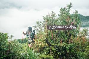 BIB: 
                            <button type="button" onclick="openModal(26321515)" class="btn btn-primary btn-sm float-right btn-popup" data-toggle="modal" data-target=".modal-high-quality">
                        <i class="fas fa-shopping-cart"></i> Add to Cart
                    </button>
                                            <button type="button" onclick="isThisMe(26321515, true)" class="btn btn-success btn-sm float-right btn-popup btn-isme hidden" data-toggle="tooltip" data-placement="bottom" title="นี่คือรูปของคุณใช่ไหม คลิกที่นี่เพื่อเอาเข้าอัลบั้ม">
                        <i class="fas fa-plus"></i> Add to album
                    </button>
                    <button type="button" onclick="isThisMe(26321515, false)" class="btn btn-warning btn-sm float-right btn-popup btn-isnotme hidden">
                        <i class="fas fa-ban"></i> Remove from album
                    </button>