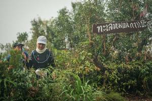 BIB: 
                            <button type="button" onclick="openModal(26335034)" class="btn btn-primary btn-sm float-right btn-popup" data-toggle="modal" data-target=".modal-high-quality">
                        <i class="fas fa-shopping-cart"></i> Add to Cart
                    </button>
                                            <button type="button" onclick="isThisMe(26335034, true)" class="btn btn-success btn-sm float-right btn-popup btn-isme hidden" data-toggle="tooltip" data-placement="bottom" title="นี่คือรูปของคุณใช่ไหม คลิกที่นี่เพื่อเอาเข้าอัลบั้ม">
                        <i class="fas fa-plus"></i> Add to album
                    </button>
                    <button type="button" onclick="isThisMe(26335034, false)" class="btn btn-warning btn-sm float-right btn-popup btn-isnotme hidden">
                        <i class="fas fa-ban"></i> Remove from album
                    </button>