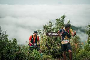 BIB: 
                            <button type="button" onclick="openModal(26329636)" class="btn btn-primary btn-sm float-right btn-popup" data-toggle="modal" data-target=".modal-high-quality">
                        <i class="fas fa-shopping-cart"></i> Add to Cart
                    </button>
                                            <button type="button" onclick="isThisMe(26329636, true)" class="btn btn-success btn-sm float-right btn-popup btn-isme hidden" data-toggle="tooltip" data-placement="bottom" title="นี่คือรูปของคุณใช่ไหม คลิกที่นี่เพื่อเอาเข้าอัลบั้ม">
                        <i class="fas fa-plus"></i> Add to album
                    </button>
                    <button type="button" onclick="isThisMe(26329636, false)" class="btn btn-warning btn-sm float-right btn-popup btn-isnotme hidden">
                        <i class="fas fa-ban"></i> Remove from album
                    </button>