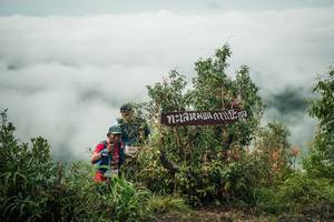 BIB: 
                            <button type="button" onclick="openModal(26329715)" class="btn btn-primary btn-sm float-right btn-popup" data-toggle="modal" data-target=".modal-high-quality">
                        <i class="fas fa-shopping-cart"></i> Add to Cart
                    </button>
                                            <button type="button" onclick="isThisMe(26329715, true)" class="btn btn-success btn-sm float-right btn-popup btn-isme hidden" data-toggle="tooltip" data-placement="bottom" title="นี่คือรูปของคุณใช่ไหม คลิกที่นี่เพื่อเอาเข้าอัลบั้ม">
                        <i class="fas fa-plus"></i> Add to album
                    </button>
                    <button type="button" onclick="isThisMe(26329715, false)" class="btn btn-warning btn-sm float-right btn-popup btn-isnotme hidden">
                        <i class="fas fa-ban"></i> Remove from album
                    </button>