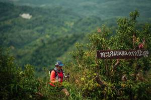 BIB: 
                            <button type="button" onclick="openModal(26309553)" class="btn btn-primary btn-sm float-right btn-popup" data-toggle="modal" data-target=".modal-high-quality">
                        <i class="fas fa-shopping-cart"></i> Add to Cart
                    </button>
                                            <button type="button" onclick="isThisMe(26309553, true)" class="btn btn-success btn-sm float-right btn-popup btn-isme hidden" data-toggle="tooltip" data-placement="bottom" title="นี่คือรูปของคุณใช่ไหม คลิกที่นี่เพื่อเอาเข้าอัลบั้ม">
                        <i class="fas fa-plus"></i> Add to album
                    </button>
                    <button type="button" onclick="isThisMe(26309553, false)" class="btn btn-warning btn-sm float-right btn-popup btn-isnotme hidden">
                        <i class="fas fa-ban"></i> Remove from album
                    </button>