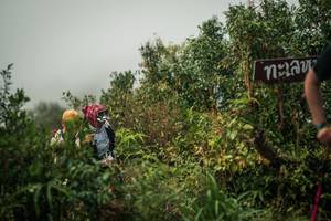 BIB: 
                            <button type="button" onclick="openModal(26334748)" class="btn btn-primary btn-sm float-right btn-popup" data-toggle="modal" data-target=".modal-high-quality">
                        <i class="fas fa-shopping-cart"></i> Add to Cart
                    </button>
                                            <button type="button" onclick="isThisMe(26334748, true)" class="btn btn-success btn-sm float-right btn-popup btn-isme hidden" data-toggle="tooltip" data-placement="bottom" title="นี่คือรูปของคุณใช่ไหม คลิกที่นี่เพื่อเอาเข้าอัลบั้ม">
                        <i class="fas fa-plus"></i> Add to album
                    </button>
                    <button type="button" onclick="isThisMe(26334748, false)" class="btn btn-warning btn-sm float-right btn-popup btn-isnotme hidden">
                        <i class="fas fa-ban"></i> Remove from album
                    </button>