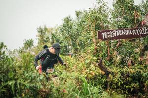 BIB: 
                            <button type="button" onclick="openModal(26335161)" class="btn btn-primary btn-sm float-right btn-popup" data-toggle="modal" data-target=".modal-high-quality">
                        <i class="fas fa-shopping-cart"></i> Add to Cart
                    </button>
                                            <button type="button" onclick="isThisMe(26335161, true)" class="btn btn-success btn-sm float-right btn-popup btn-isme hidden" data-toggle="tooltip" data-placement="bottom" title="นี่คือรูปของคุณใช่ไหม คลิกที่นี่เพื่อเอาเข้าอัลบั้ม">
                        <i class="fas fa-plus"></i> Add to album
                    </button>
                    <button type="button" onclick="isThisMe(26335161, false)" class="btn btn-warning btn-sm float-right btn-popup btn-isnotme hidden">
                        <i class="fas fa-ban"></i> Remove from album
                    </button>