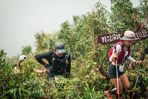 BIB: 
                            <button type="button" onclick="openModal(26335372)" class="btn btn-primary btn-sm float-right btn-popup" data-toggle="modal" data-target=".modal-high-quality">
                        <i class="fas fa-shopping-cart"></i> Add to Cart
                    </button>
                                            <button type="button" onclick="isThisMe(26335372, true)" class="btn btn-success btn-sm float-right btn-popup btn-isme hidden" data-toggle="tooltip" data-placement="bottom" title="นี่คือรูปของคุณใช่ไหม คลิกที่นี่เพื่อเอาเข้าอัลบั้ม">
                        <i class="fas fa-plus"></i> Add to album
                    </button>
                    <button type="button" onclick="isThisMe(26335372, false)" class="btn btn-warning btn-sm float-right btn-popup btn-isnotme hidden">
                        <i class="fas fa-ban"></i> Remove from album
                    </button>