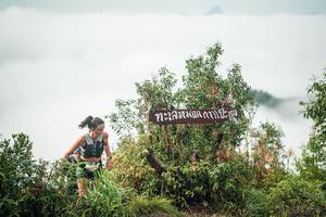 BIB: 
                            <button type="button" onclick="openModal(26325805)" class="btn btn-primary btn-sm float-right btn-popup" data-toggle="modal" data-target=".modal-high-quality">
                        <i class="fas fa-shopping-cart"></i> Add to Cart
                    </button>
                                            <button type="button" onclick="isThisMe(26325805, true)" class="btn btn-success btn-sm float-right btn-popup btn-isme hidden" data-toggle="tooltip" data-placement="bottom" title="นี่คือรูปของคุณใช่ไหม คลิกที่นี่เพื่อเอาเข้าอัลบั้ม">
                        <i class="fas fa-plus"></i> Add to album
                    </button>
                    <button type="button" onclick="isThisMe(26325805, false)" class="btn btn-warning btn-sm float-right btn-popup btn-isnotme hidden">
                        <i class="fas fa-ban"></i> Remove from album
                    </button>