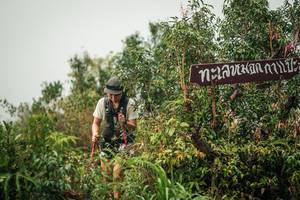 BIB: 
                            <button type="button" onclick="openModal(26334799)" class="btn btn-primary btn-sm float-right btn-popup" data-toggle="modal" data-target=".modal-high-quality">
                        <i class="fas fa-shopping-cart"></i> Add to Cart
                    </button>
                                            <button type="button" onclick="isThisMe(26334799, true)" class="btn btn-success btn-sm float-right btn-popup btn-isme hidden" data-toggle="tooltip" data-placement="bottom" title="นี่คือรูปของคุณใช่ไหม คลิกที่นี่เพื่อเอาเข้าอัลบั้ม">
                        <i class="fas fa-plus"></i> Add to album
                    </button>
                    <button type="button" onclick="isThisMe(26334799, false)" class="btn btn-warning btn-sm float-right btn-popup btn-isnotme hidden">
                        <i class="fas fa-ban"></i> Remove from album
                    </button>