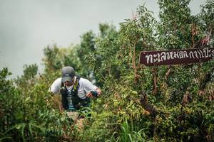 BIB: 
                            <button type="button" onclick="openModal(26335898)" class="btn btn-primary btn-sm float-right btn-popup" data-toggle="modal" data-target=".modal-high-quality">
                        <i class="fas fa-shopping-cart"></i> Add to Cart
                    </button>
                                            <button type="button" onclick="isThisMe(26335898, true)" class="btn btn-success btn-sm float-right btn-popup btn-isme hidden" data-toggle="tooltip" data-placement="bottom" title="นี่คือรูปของคุณใช่ไหม คลิกที่นี่เพื่อเอาเข้าอัลบั้ม">
                        <i class="fas fa-plus"></i> Add to album
                    </button>
                    <button type="button" onclick="isThisMe(26335898, false)" class="btn btn-warning btn-sm float-right btn-popup btn-isnotme hidden">
                        <i class="fas fa-ban"></i> Remove from album
                    </button>