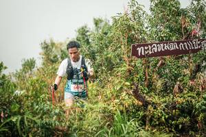 BIB: 
                            <button type="button" onclick="openModal(26335330)" class="btn btn-primary btn-sm float-right btn-popup" data-toggle="modal" data-target=".modal-high-quality">
                        <i class="fas fa-shopping-cart"></i> Add to Cart
                    </button>
                                            <button type="button" onclick="isThisMe(26335330, true)" class="btn btn-success btn-sm float-right btn-popup btn-isme hidden" data-toggle="tooltip" data-placement="bottom" title="นี่คือรูปของคุณใช่ไหม คลิกที่นี่เพื่อเอาเข้าอัลบั้ม">
                        <i class="fas fa-plus"></i> Add to album
                    </button>
                    <button type="button" onclick="isThisMe(26335330, false)" class="btn btn-warning btn-sm float-right btn-popup btn-isnotme hidden">
                        <i class="fas fa-ban"></i> Remove from album
                    </button>