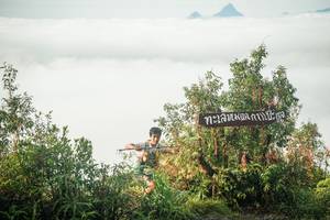 BIB: 
                            <button type="button" onclick="openModal(26323585)" class="btn btn-primary btn-sm float-right btn-popup" data-toggle="modal" data-target=".modal-high-quality">
                        <i class="fas fa-shopping-cart"></i> Add to Cart
                    </button>
                                            <button type="button" onclick="isThisMe(26323585, true)" class="btn btn-success btn-sm float-right btn-popup btn-isme hidden" data-toggle="tooltip" data-placement="bottom" title="นี่คือรูปของคุณใช่ไหม คลิกที่นี่เพื่อเอาเข้าอัลบั้ม">
                        <i class="fas fa-plus"></i> Add to album
                    </button>
                    <button type="button" onclick="isThisMe(26323585, false)" class="btn btn-warning btn-sm float-right btn-popup btn-isnotme hidden">
                        <i class="fas fa-ban"></i> Remove from album
                    </button>