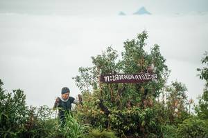 BIB: 
                            <button type="button" onclick="openModal(26325600)" class="btn btn-primary btn-sm float-right btn-popup" data-toggle="modal" data-target=".modal-high-quality">
                        <i class="fas fa-shopping-cart"></i> Add to Cart
                    </button>
                                            <button type="button" onclick="isThisMe(26325600, true)" class="btn btn-success btn-sm float-right btn-popup btn-isme hidden" data-toggle="tooltip" data-placement="bottom" title="นี่คือรูปของคุณใช่ไหม คลิกที่นี่เพื่อเอาเข้าอัลบั้ม">
                        <i class="fas fa-plus"></i> Add to album
                    </button>
                    <button type="button" onclick="isThisMe(26325600, false)" class="btn btn-warning btn-sm float-right btn-popup btn-isnotme hidden">
                        <i class="fas fa-ban"></i> Remove from album
                    </button>